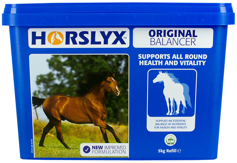 Horslyx Original Balancer