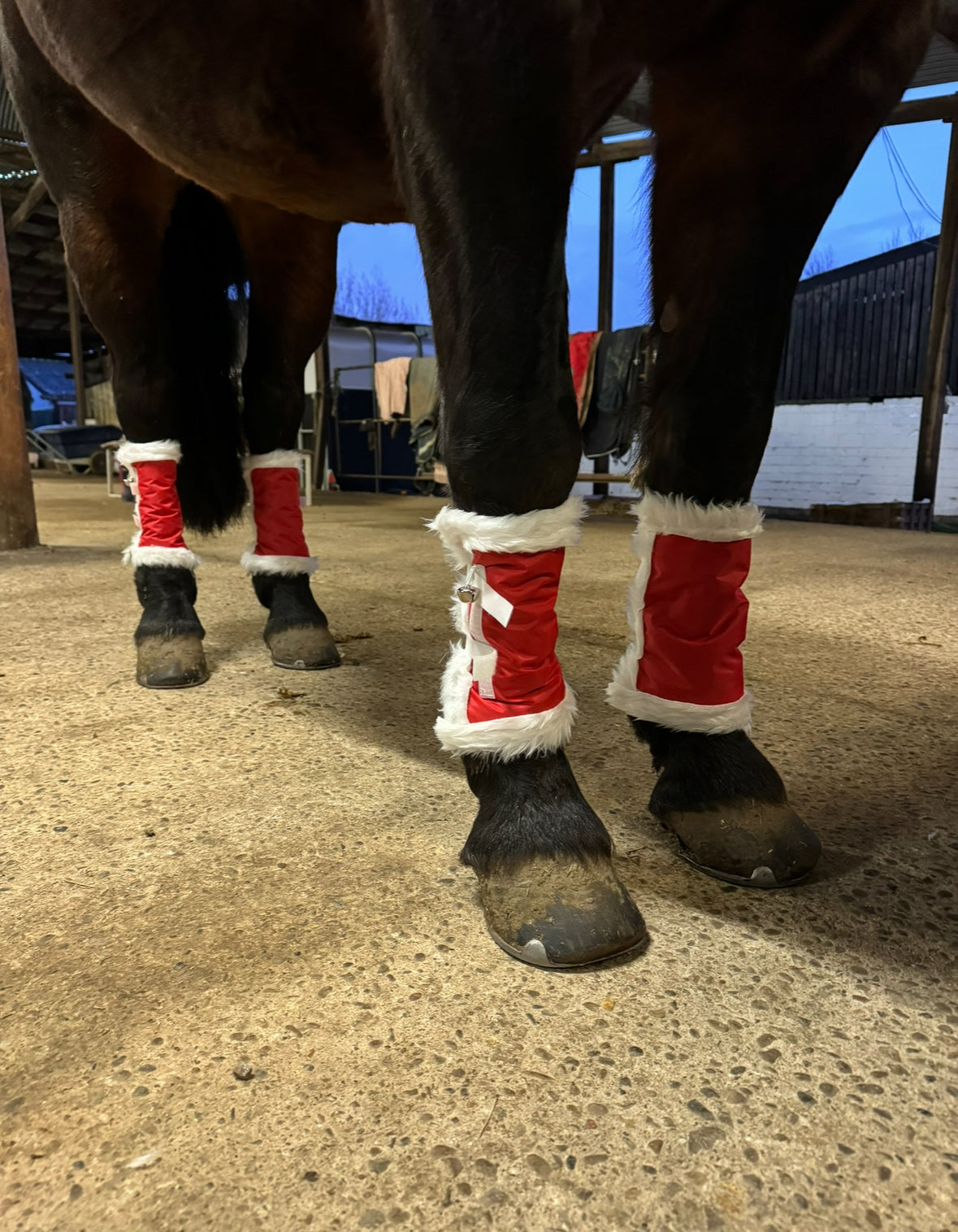 Christmas horse accessories