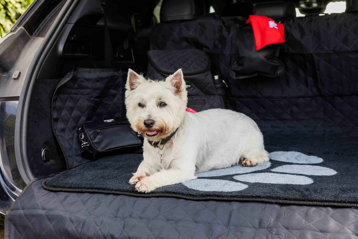 Pet Rebellion boot mate-Black
