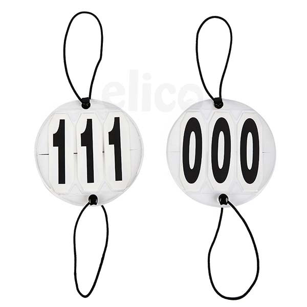 Bridle numbers