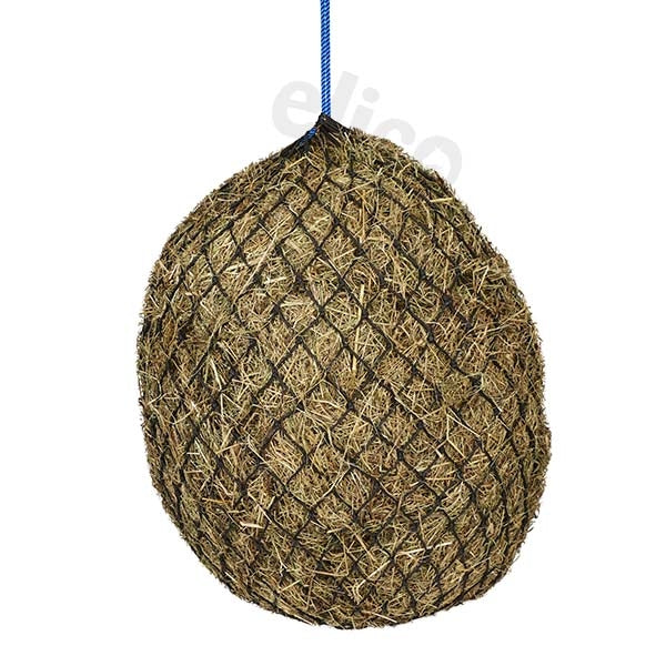 Elico Torbay haynet