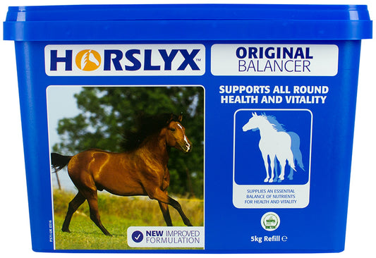 Horslyx Original Balancer