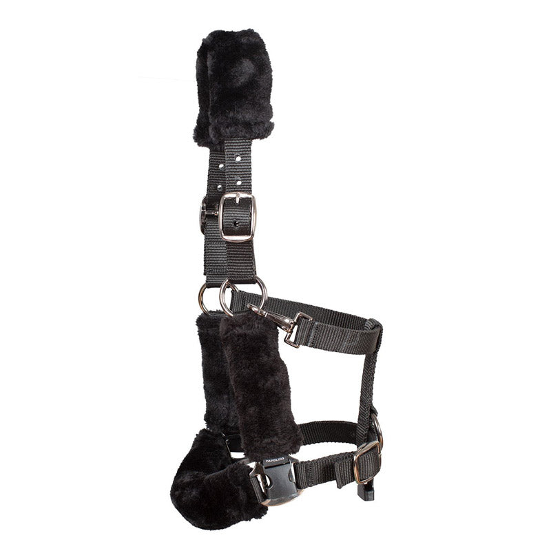 KM Elite Handsfree Handling Set-Headcollar & Muzzle-Cob