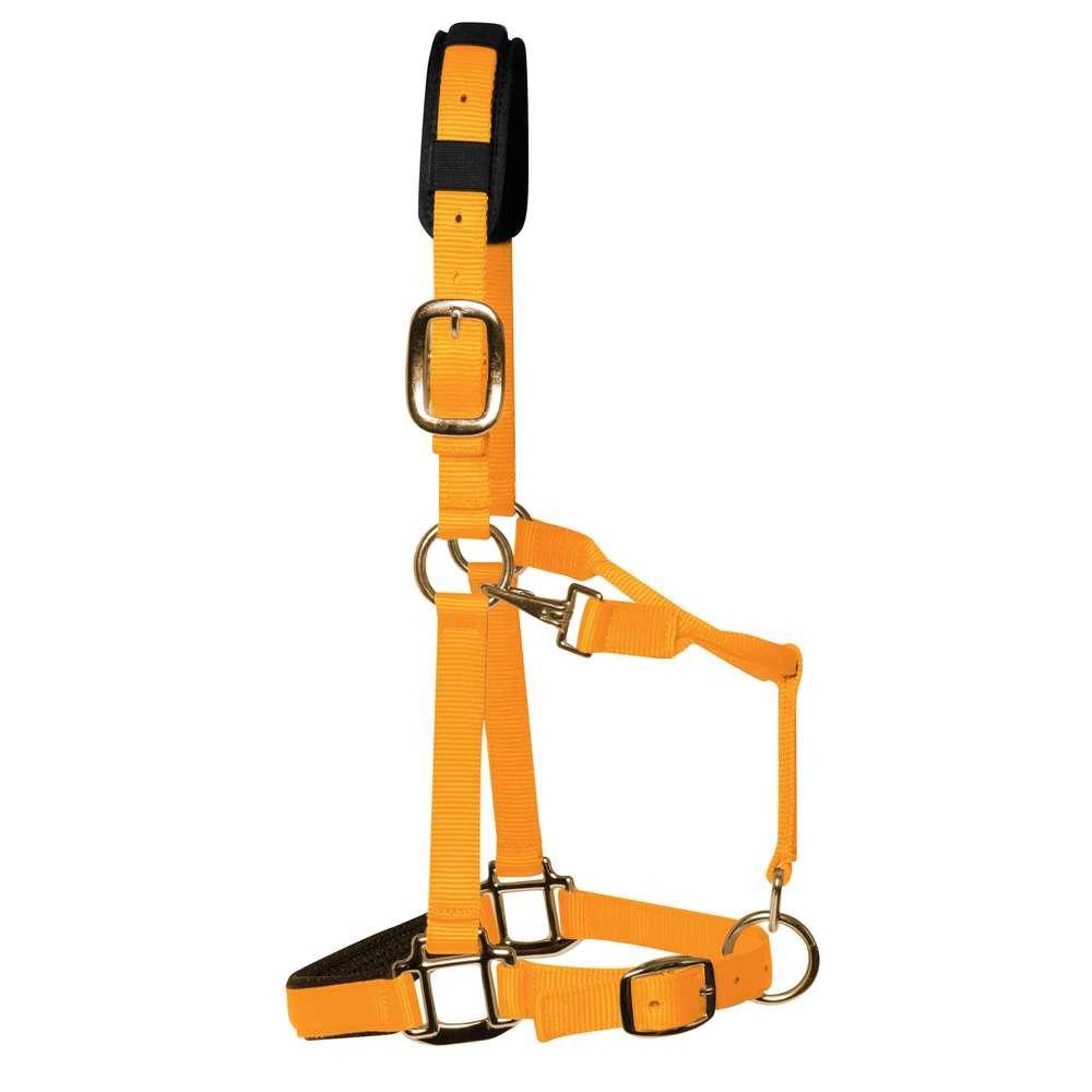 KM Elite Luxury Padded Headcollar & Lead Rope-Orange-S