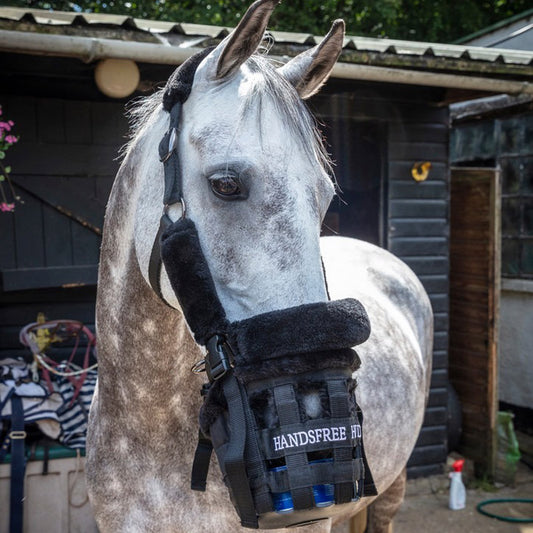 KM Elite Handsfree Handling Set-Headcollar & Muzzle-Cob