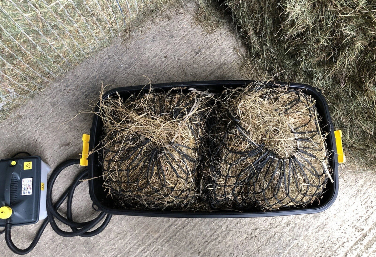 Budget Hay steamer