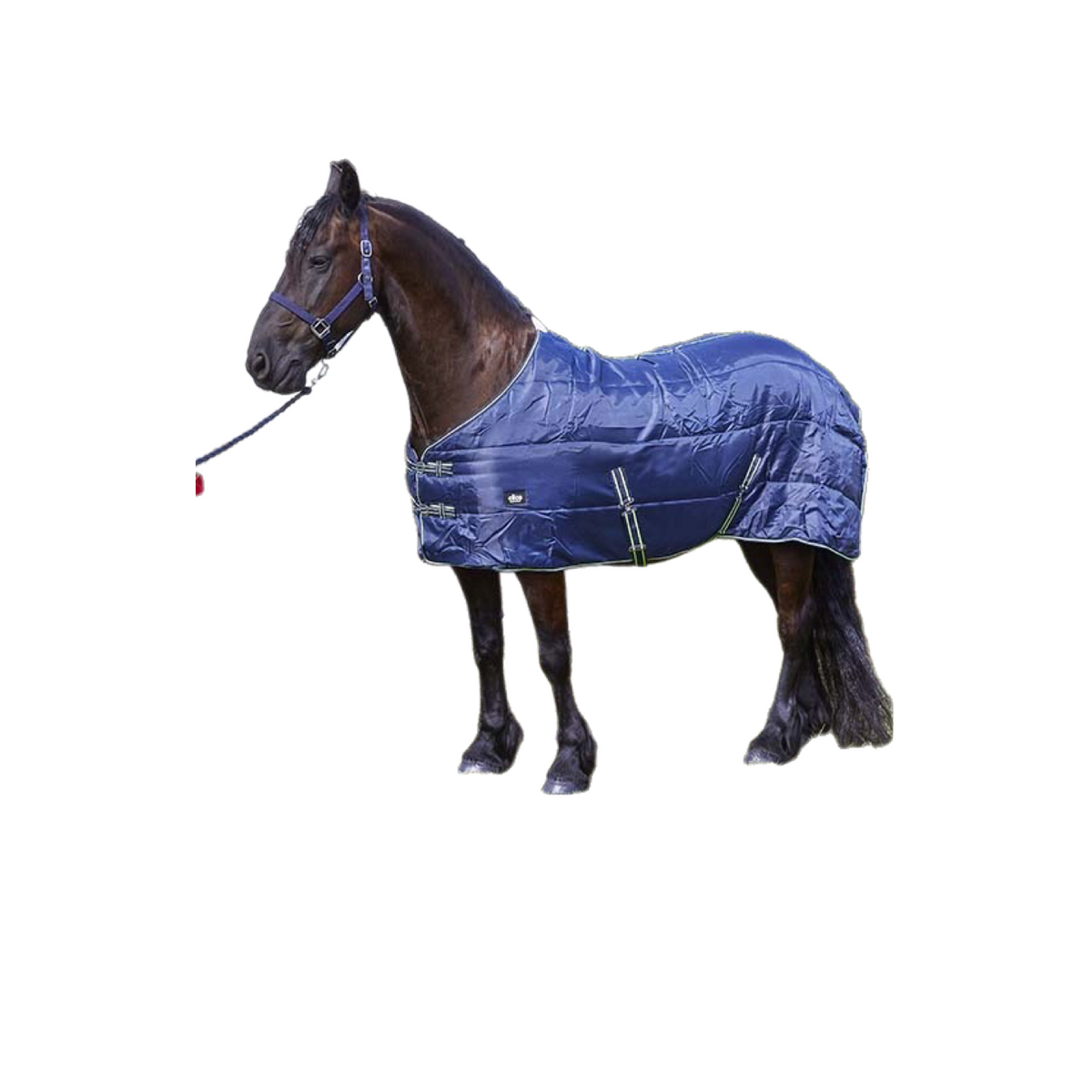 Elico Bowmont (100) Stable Rugs
