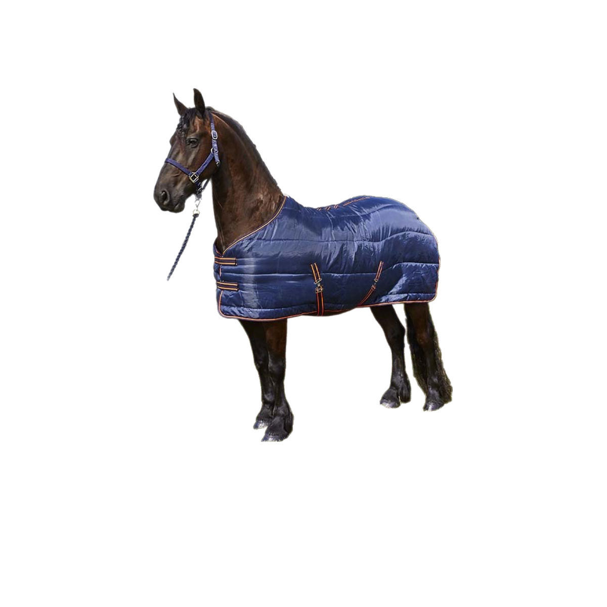 Elico Easington (200) Stable Rug