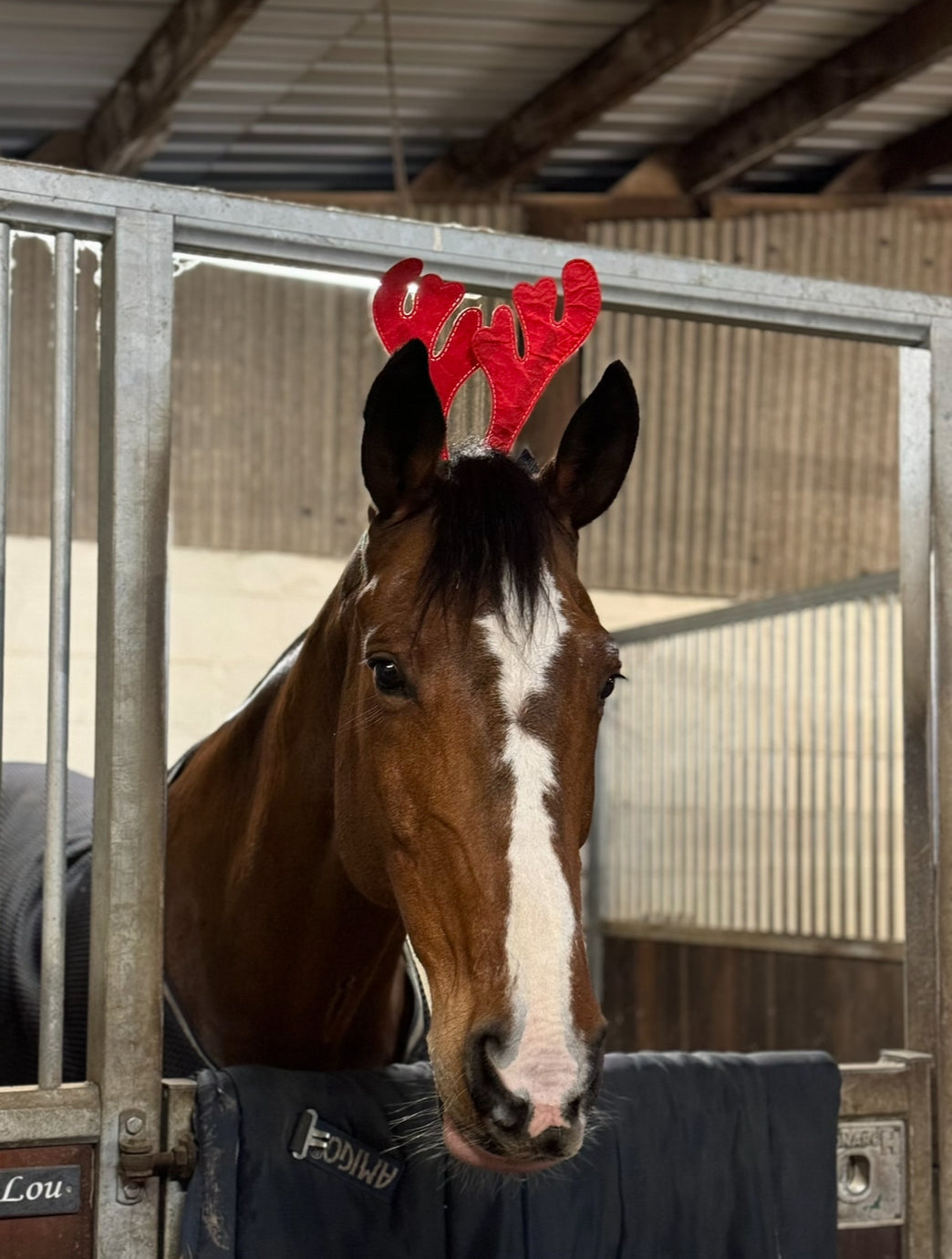 Christmas horse accessories