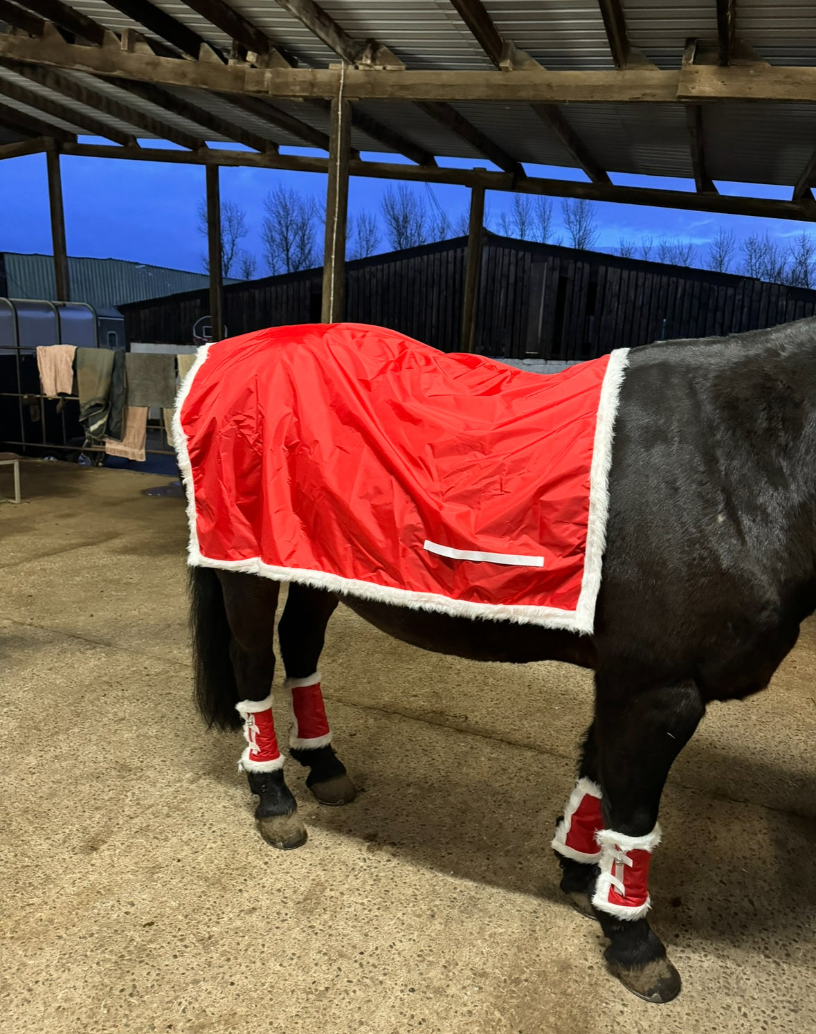 Christmas horse accessories