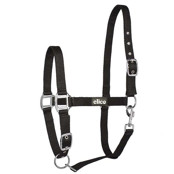 Kendal Headcollar