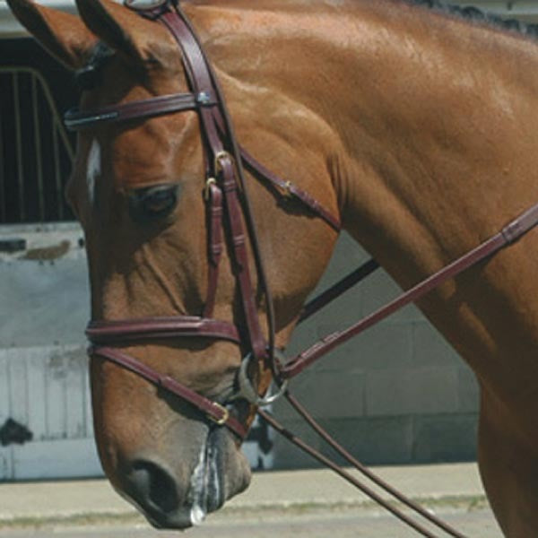 John Whittaker Fully Elasticated Training Rein