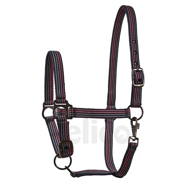 Elico Milburn Headcollar
