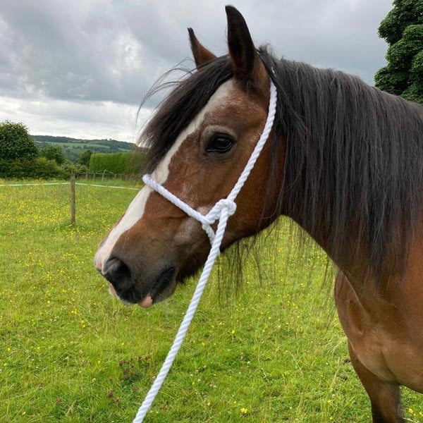 Adjustable White Rope Halter