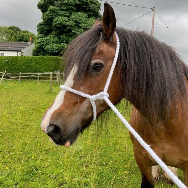 Adjustable White Rope Halter