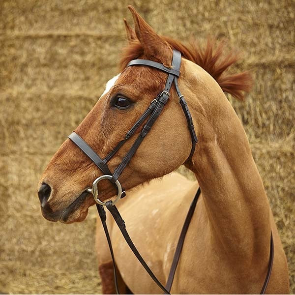 Elico Snaffle Bridle