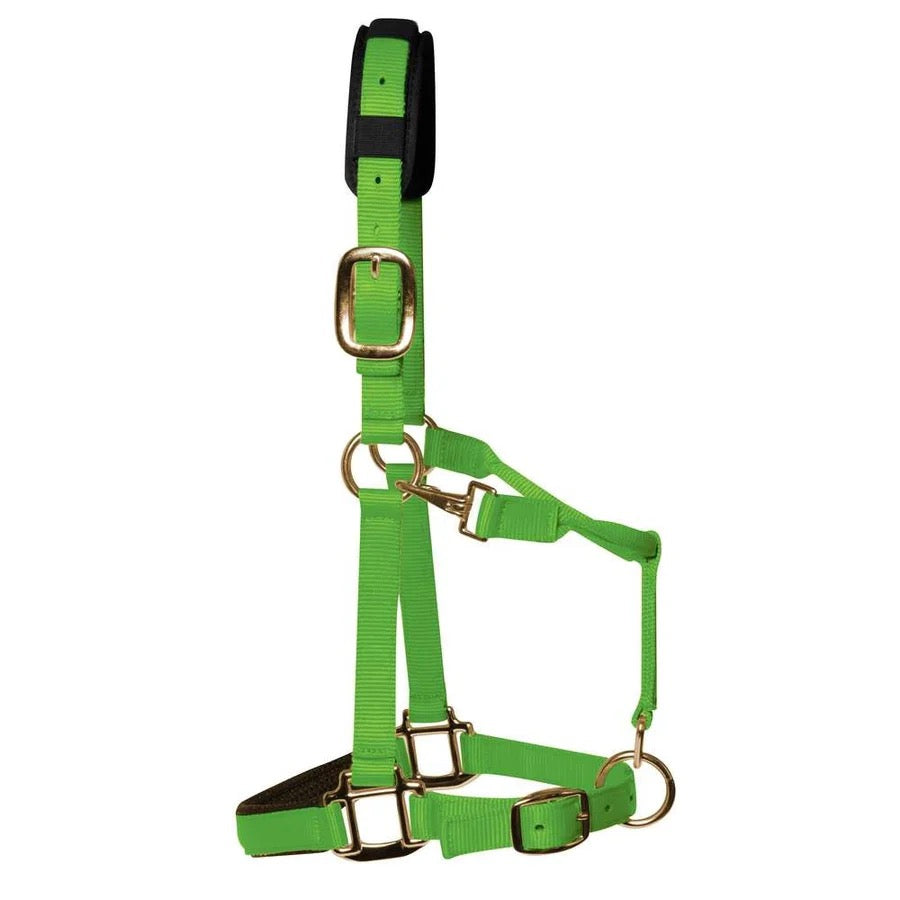KM Elite Luxury Padded Headcollar Hot green Pony