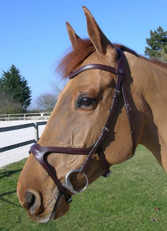 Dy'on New English Collection X-Fit Anatomic Bridle-Black-Pony