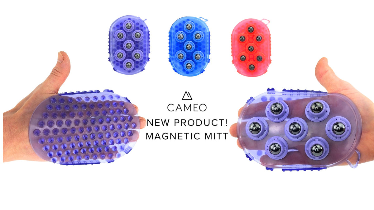 Magnetic grooming mitt