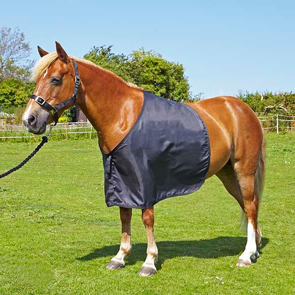 Elico Anti-Rub Bib/Shoulder Guard
