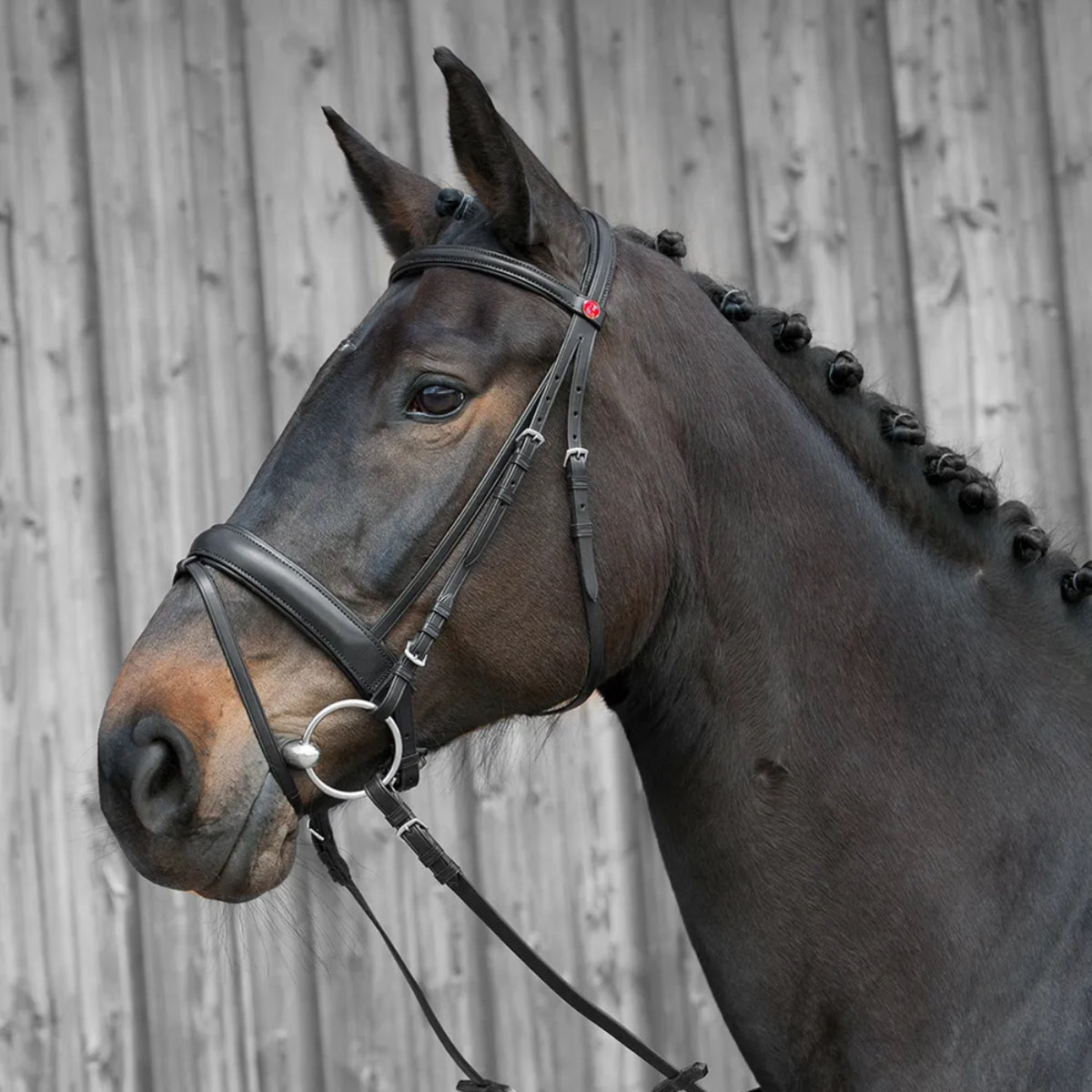 Kieffer Ergonomic Line Snaffle Bridle-Black/Black Lining-Full