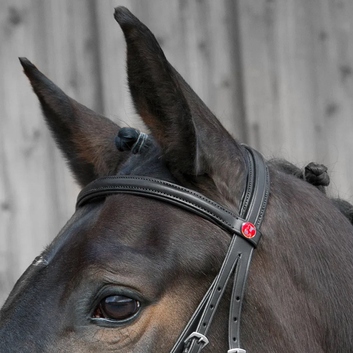 Kieffer Ergonomic Line Snaffle Bridle-Black/Black Lining-Full