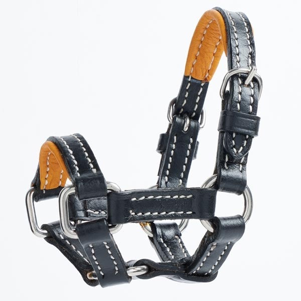 Elico Mini Tack: Headcollar