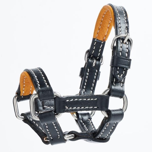 Elico Mini Tack: Headcollar
