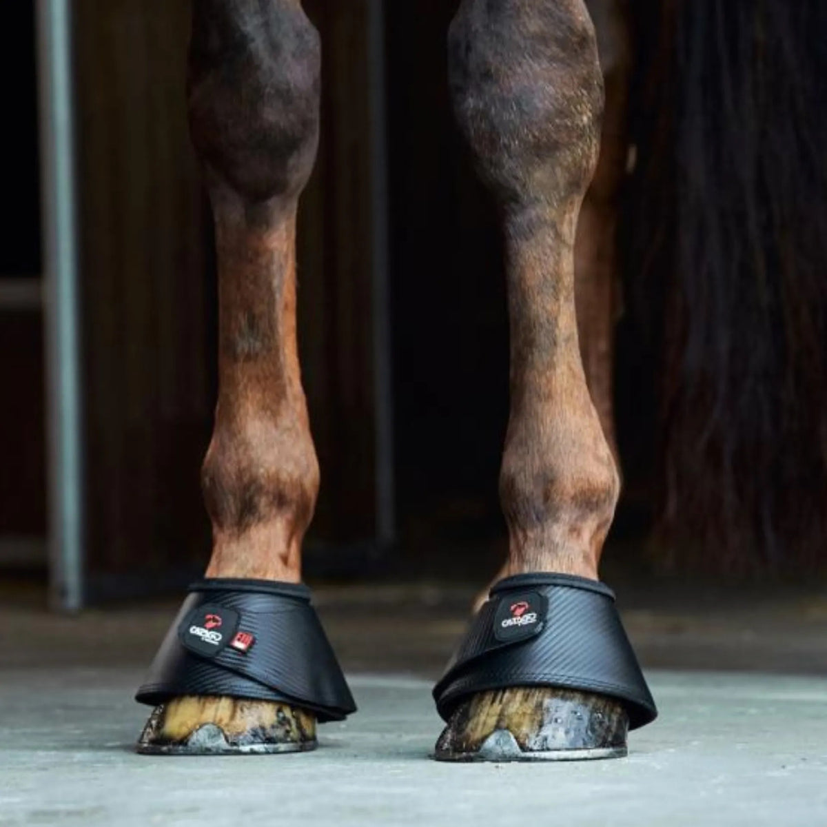 CATAGO FIR-Tech Bell Boot-Black-Pony