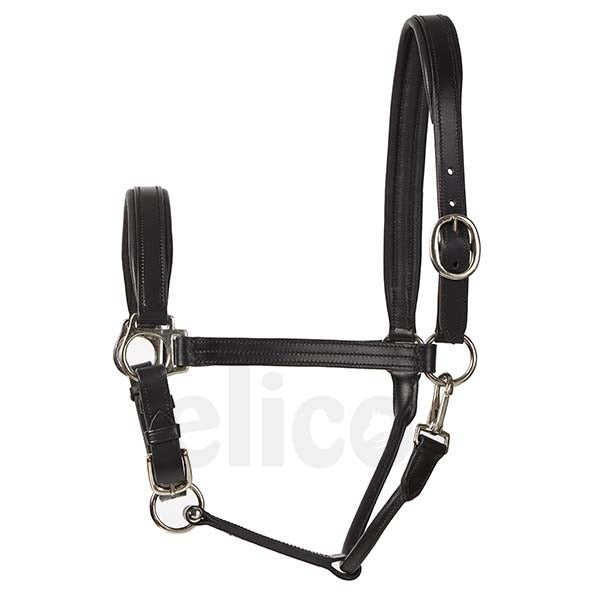 Bremen Leather Headcollar