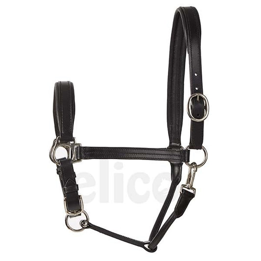 Bremen Leather Headcollar