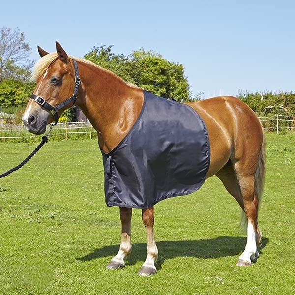Elico Anti-Rub Bib/Shoulder Guard