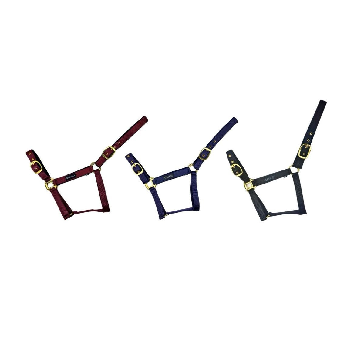 Cameo Equine Padded Headcollar