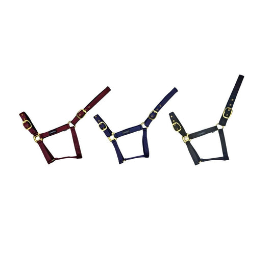 Cameo Equine Padded Headcollar