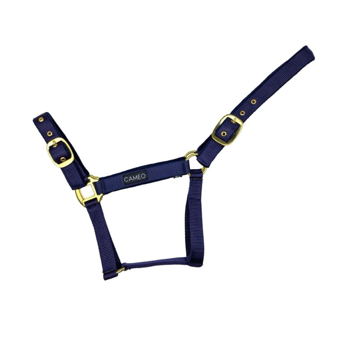 Cameo Equine Padded Headcollar