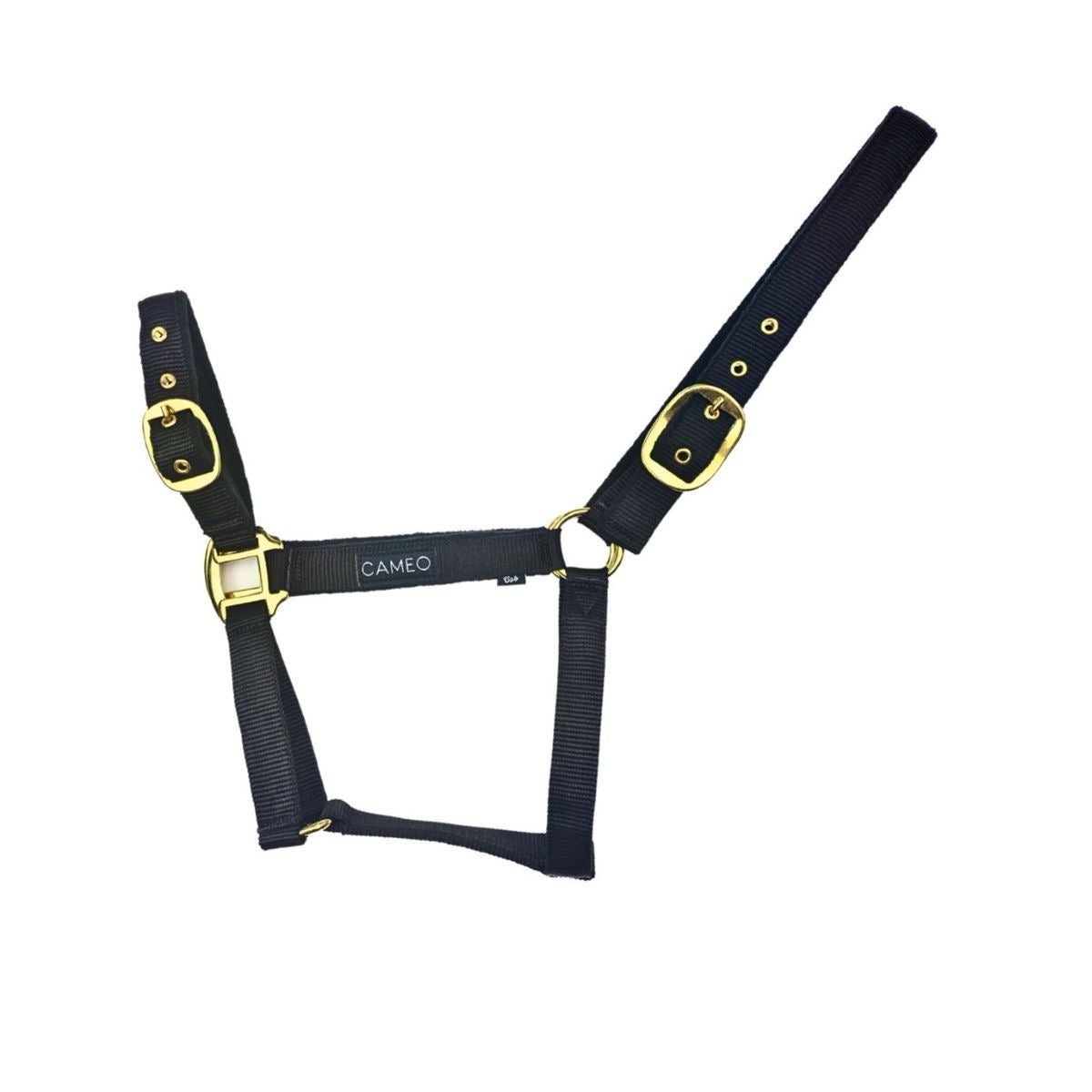 Cameo Equine Padded Headcollar