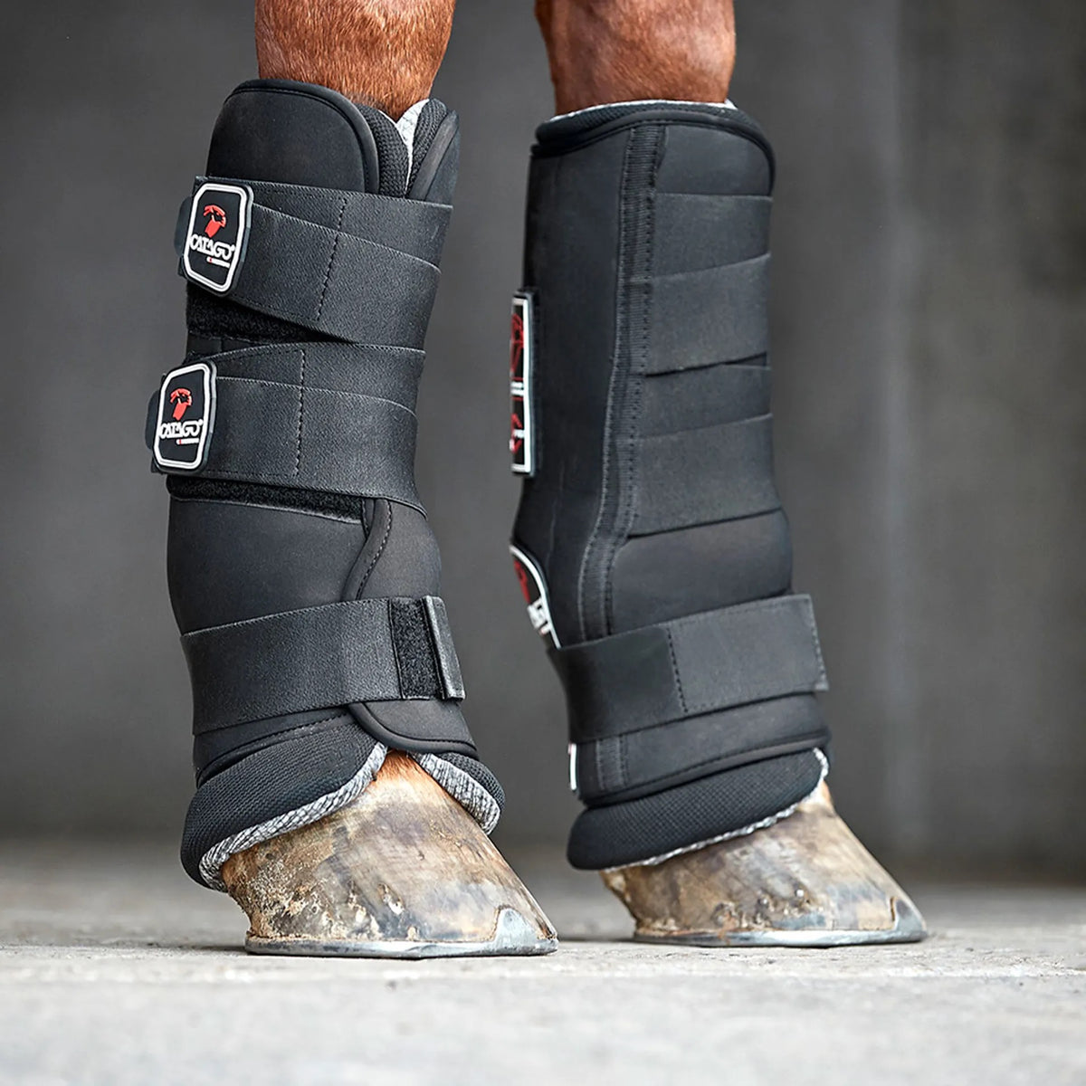 CATAGO FIR-Tech Stable Boots-Black-S