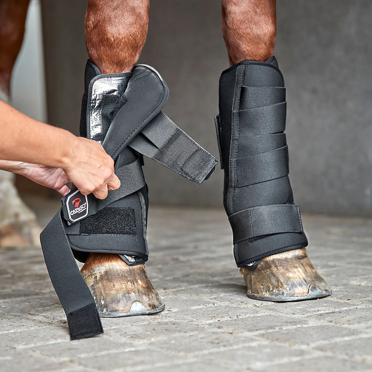 CATAGO FIR-Tech Stable Boots-Black-S