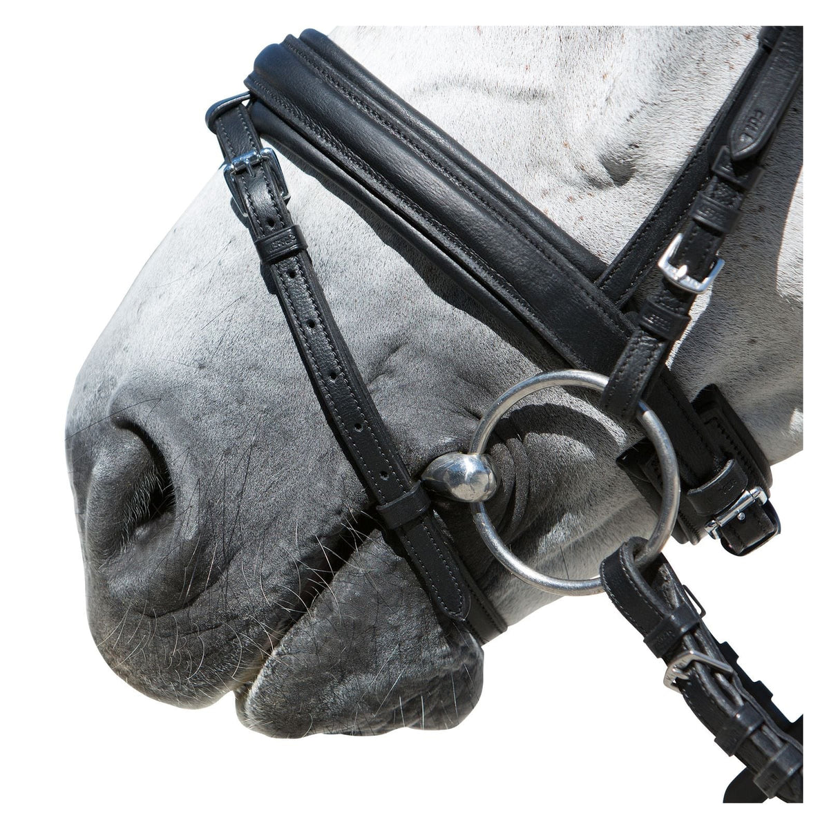 Kieffer Arezzo Snaffle Bridle-Black/Black-Full