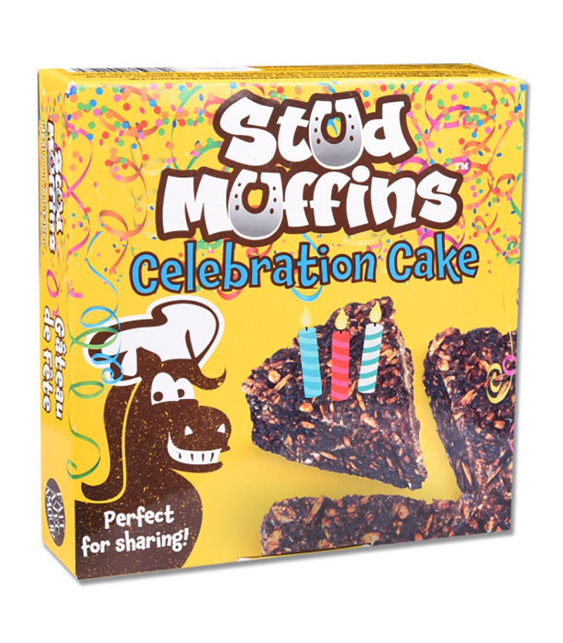 Stud Muffin Celebration Cake
