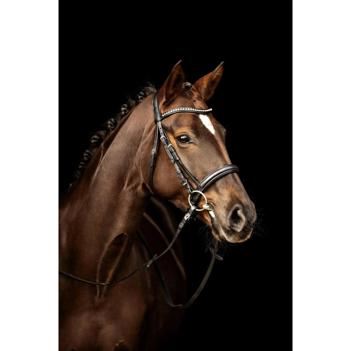 Kieffer Bridle Ultrasoft Sue With Crystals Black/White Full
