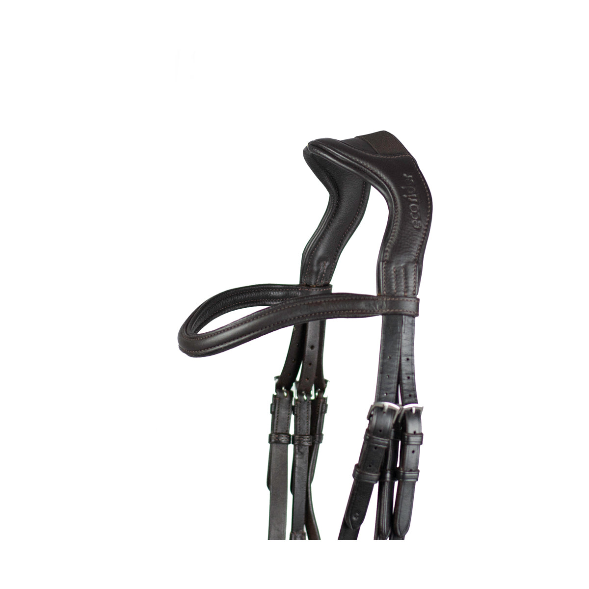 Ecosoft Enigma Bridle