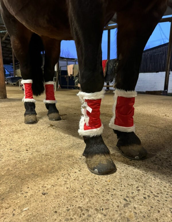 Set of 4 Christmas leg wraps