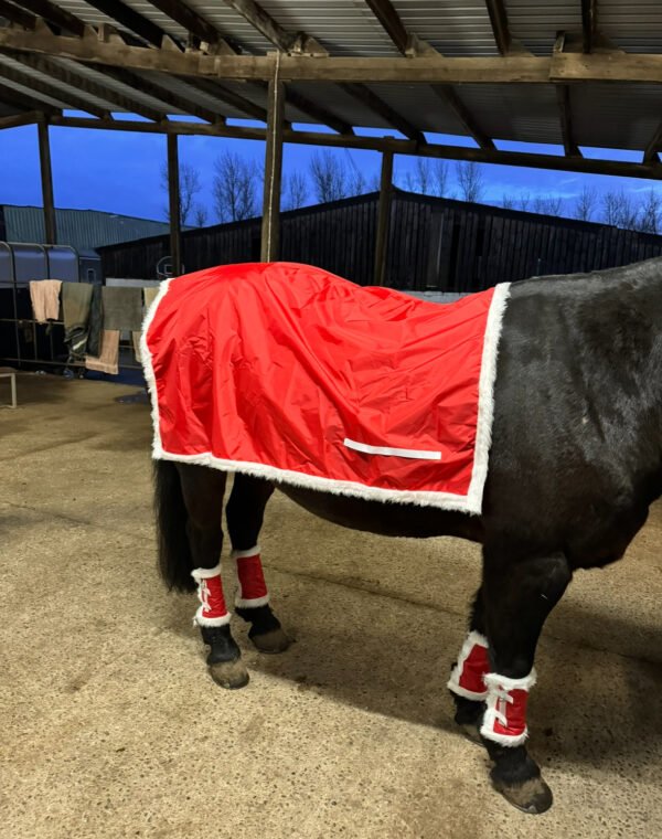 Christmas horse accessories- Antlers, leg wraps, bridle accessories and exercise sheet - Image 4