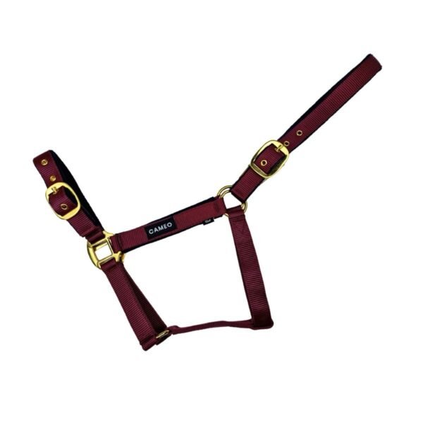 Cameo Equine Padded Headcollar - Image 2