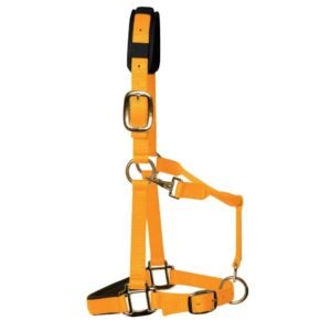 KM Elite Luxury Padded Headcollar & Lead Rope-Orange-L