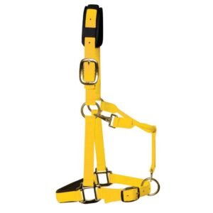 KM Elite Luxury Padded Headcollar & Lead Rope-Yellow-L
