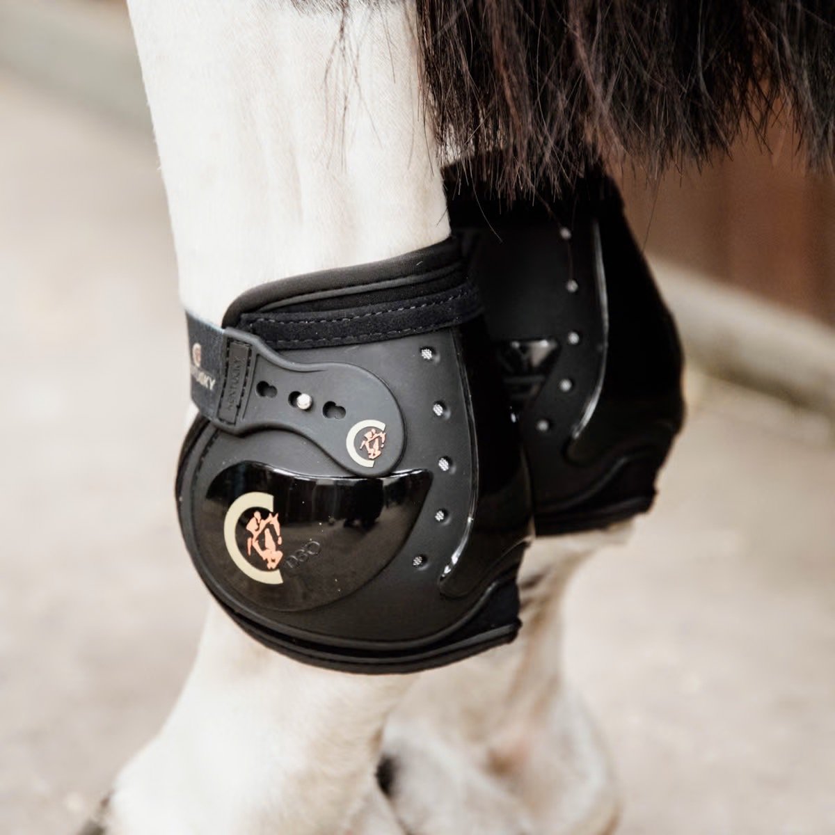 Kentucky Fetlock Elastic Boots-Black