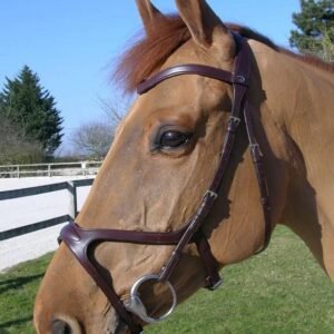 Dy'on New English Collection X-Fit Anatomic Bridle-Black-Pony