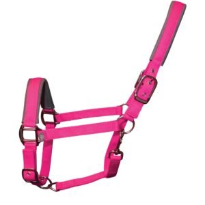 Woof Wear Contour Head Collar-Berry-Full
